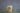 MDY_5559-1462