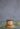 MDY_5562-1465