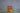 MDY_5563-1466