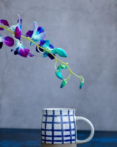 Blue Plaid Stoneware Mug