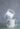 MDY_5500-1413