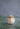 MDY_5526-1437
