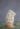 MDY_5556-1459
