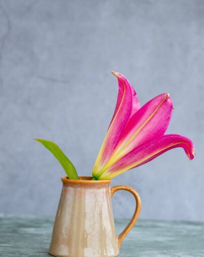 Ceramic Mug Flower Vase