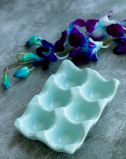 Egg Holder Tray