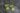 bevzilla green cubes1 (1)