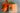 orange insence cone